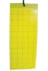 Card Traps, Insect Monitoring Traps (Yellow), BASF