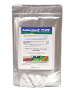 Botanigard 22WP Mycoinsecticide Insecticide, BioWorks