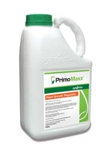 Primo MAXX Plant Growth Regulator PGR