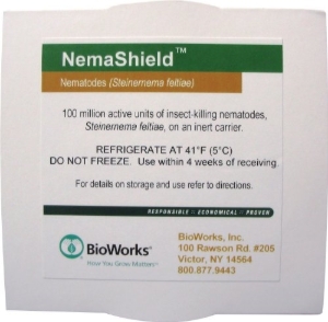 NemaShield Beneficial Nematodes (Steinernema feltiae)