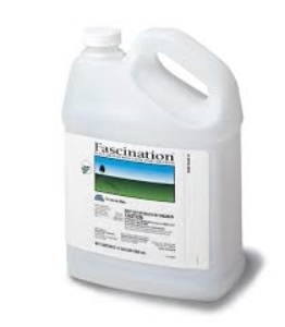 Fascination Plant Growth Regulator, Valent