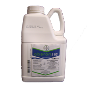Oberon 2 SC Insecticide Miticide, Bayer