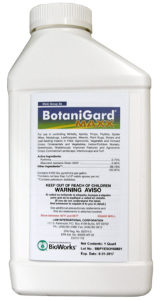 BotaniGard MAXX Insecticide Miticide, BioWorks