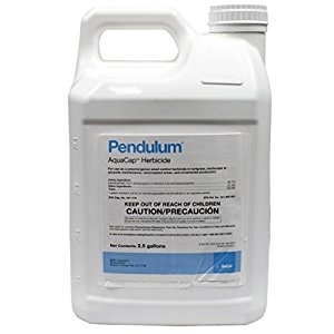 Pendulum Aquacap Herbicide, BASF