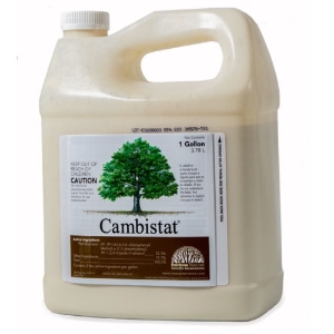 Cambistat Plant Growth Regulator, PGR, Rainbow Treecare