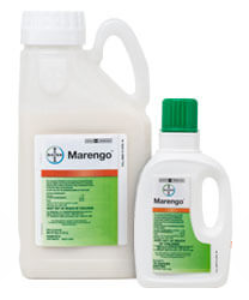 Marengo Selective Pre-Emergent Herbicide, .5 Gal.