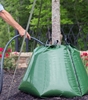 Using multiple Treegator Original Slow Release Watering Bags