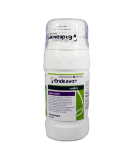 Endeavor Insecticide, Syngenta
