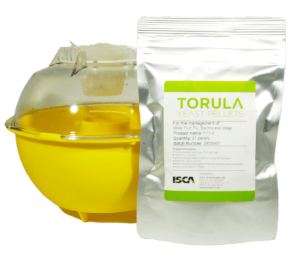 Fruit Fly Starter Kit, Isca