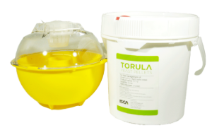 Fruit Fly Management Kit, Isca