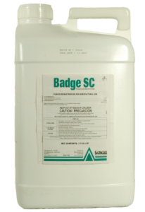 Badge SC Bactericide/Fungicide, Gowan