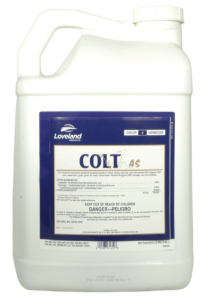 Colt AS Herbicide, Loveland