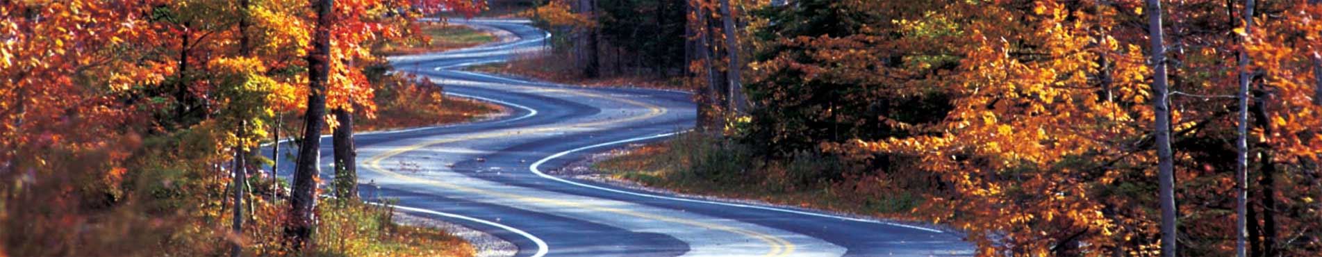 Road & Right-of-Way Vegetation Management